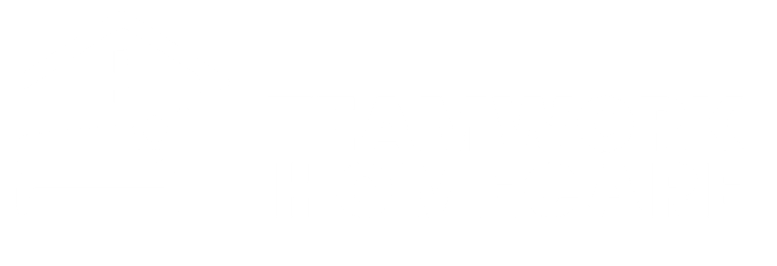 Teamwork Homecare logo WHITE